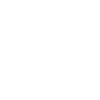 security badge